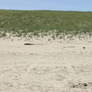 Meet your Posher, Romero